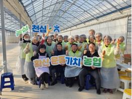 농협중앙회 파주시지부, 금촌농협 김장김치·쌀 나눔 행사와      더불어 농심천심 가치 전파 기사 이미지