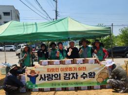 파주시 운정1동 새마을지도자협의회, 사랑의 감자 수확 기사 이미지