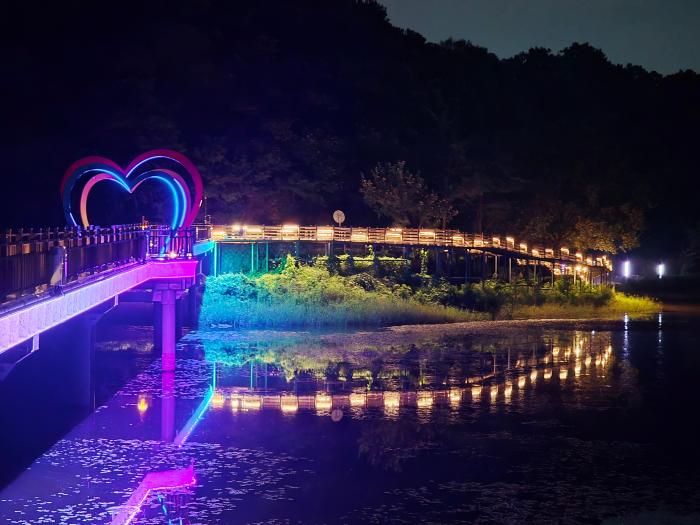 낮에는 자연, 밤에는 빛… 파주 공릉저수지, 수변 힐링 명소로 주목